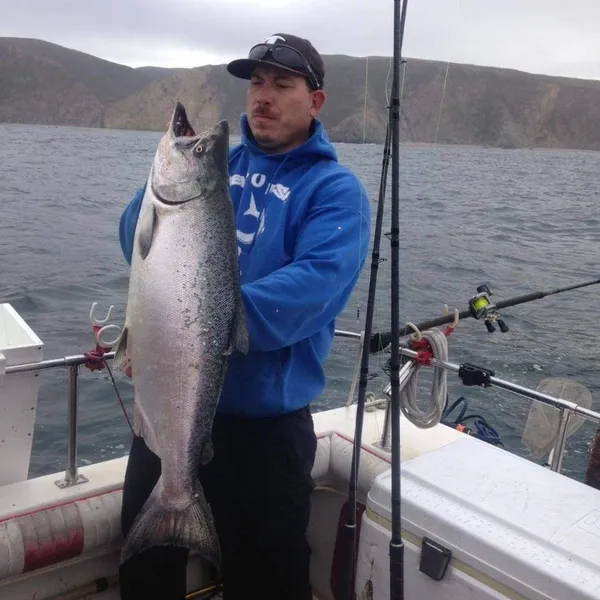 San Francisco Fishing Report 